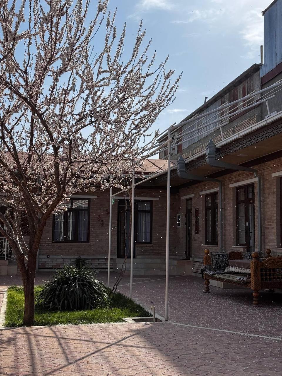 Salomat Guest House Samarkand Bagian luar foto